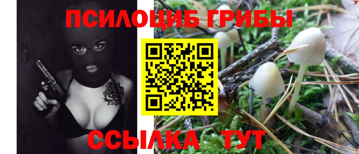 Псилоцибиновые грибы мухоморы Бутурлиновка