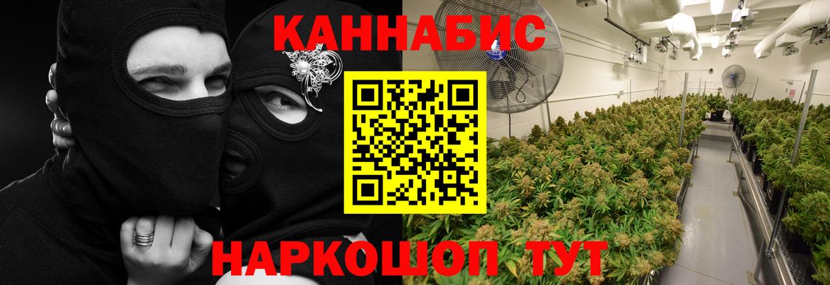 Шишки марихуана сатива  Вход с VPN  МАРИХУАНА Bruce Banner  Бутурлиновка  Шишки марихуана White Widow 